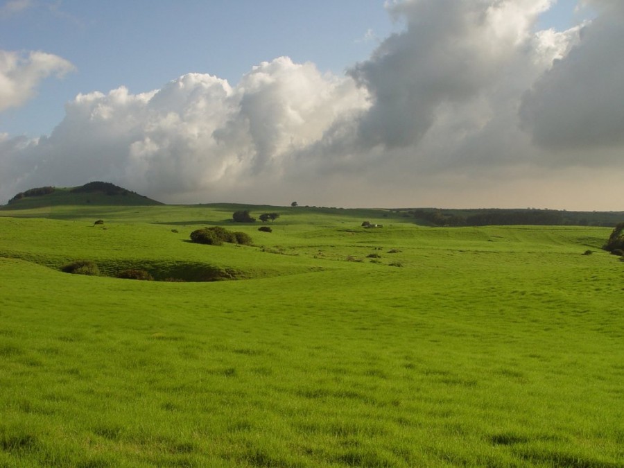 Green_by_riktorsashen Green by riktorsashen