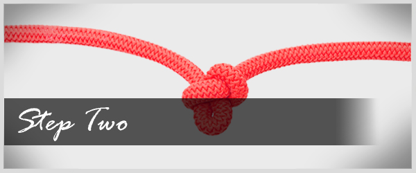 Link Creation Rope link creation rope Adding Video to your Printed Marketing Materials for Free