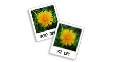 Proper Image Formatting